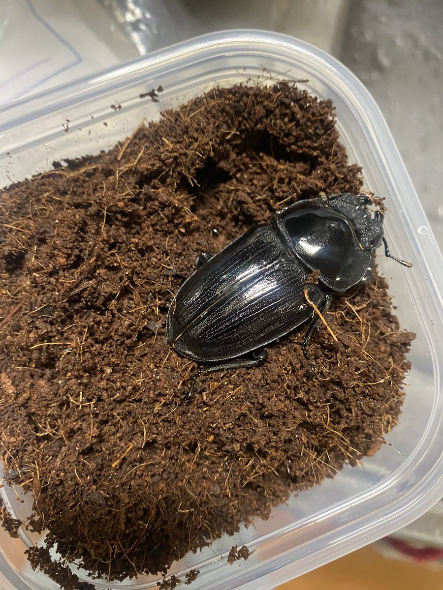 ☆Ma☆🪴 tweet media