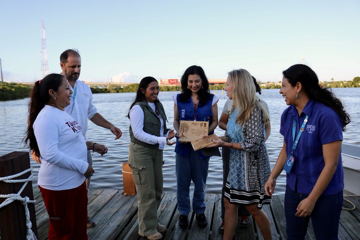 Silvia Morimoto tweet media