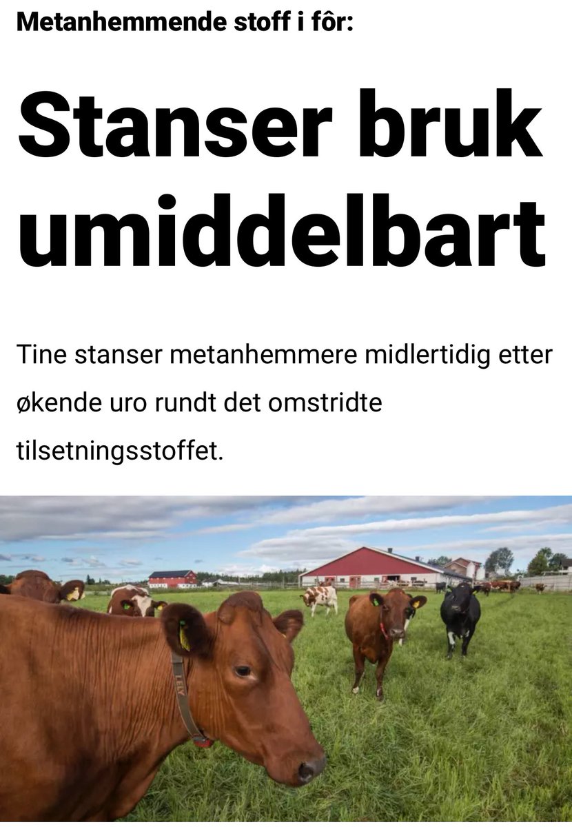 Magnus Granath tweet media