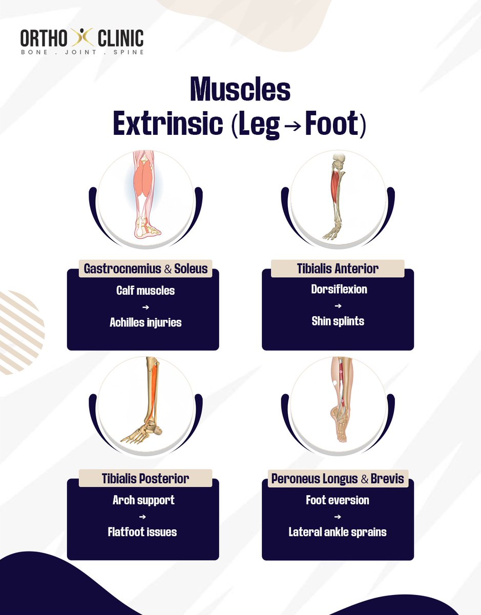 OrthoXClinic's tweet image. Ankle &amp;amp; Foot Injuries: Know Your Muscles &amp;amp; Bones!
Tip: Strengthening, proper footwear, and stretching go a long way in keeping your feet and ankles healthy!

#FootHealth #AnkleInjury #MuscleCare #Orthopedics #InjuryPrevention #Physiotherapy #HealthyFeet #SportsInjury #Anatomy