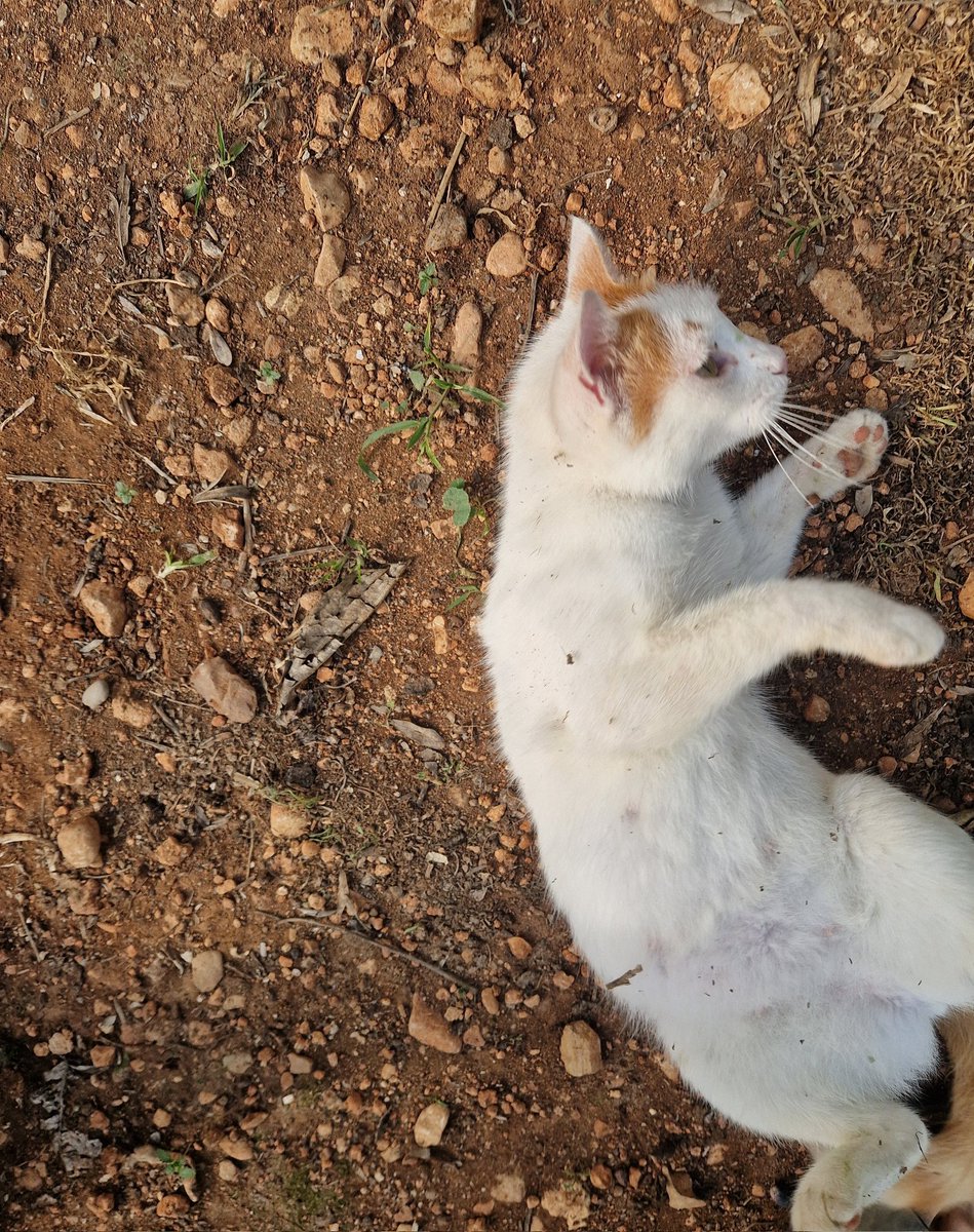 Da hat mich eine vermisst