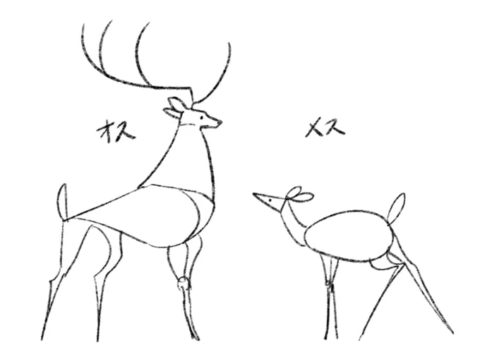 鹿のオスとメスの描き分けイメージ 