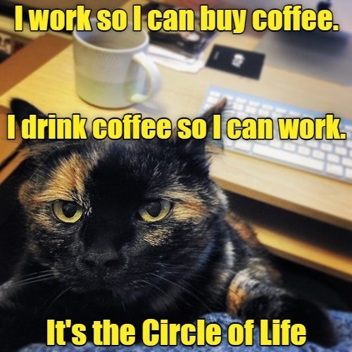 It's Hump Day. We're halfway to the weekend, not that it matters. I'm a writer. I work from home. Every day. Weekends are for normal people. How's your week working out?