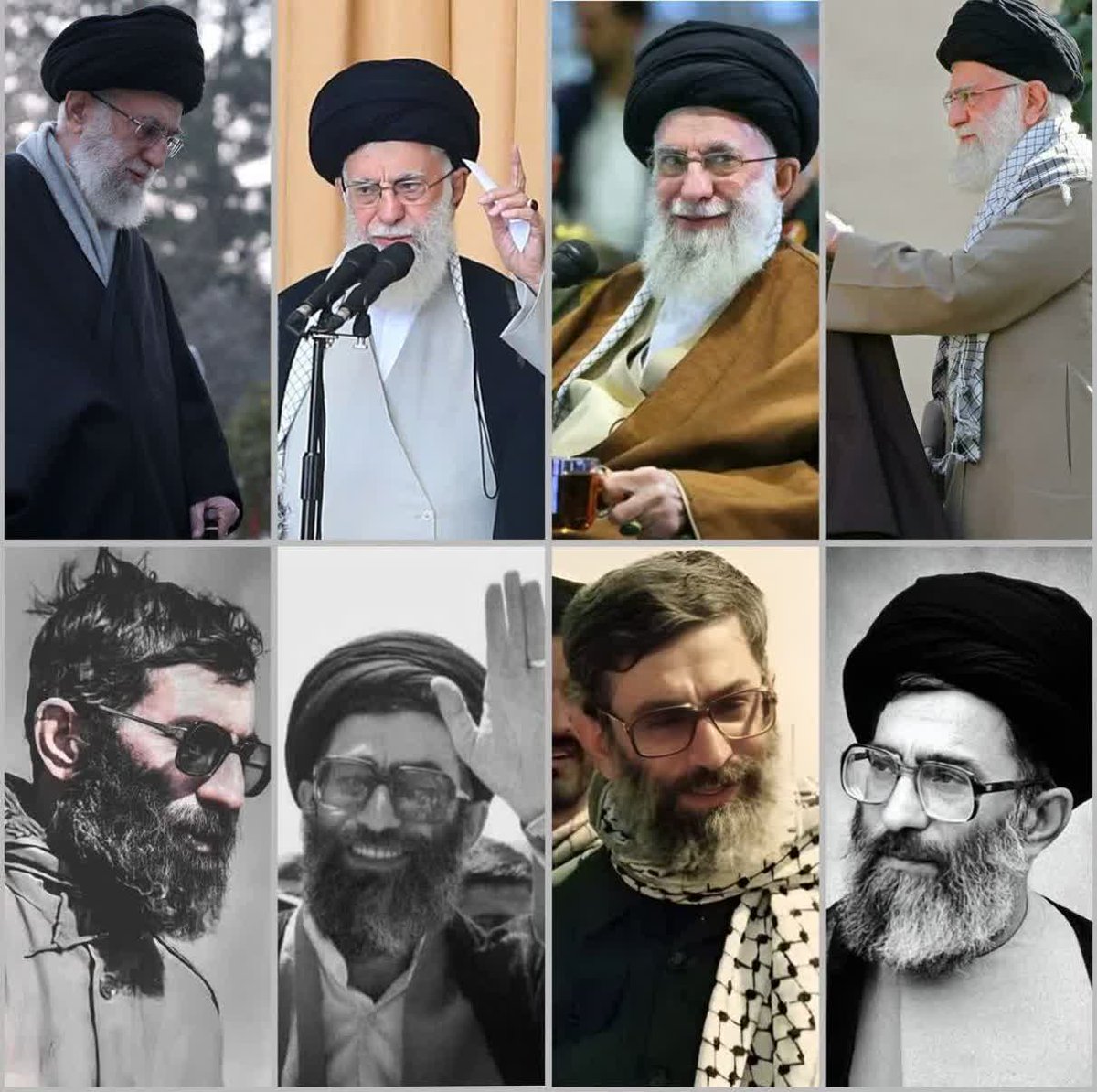 اگر شجاعت و خستگی‌ناپذیری چهره داشت