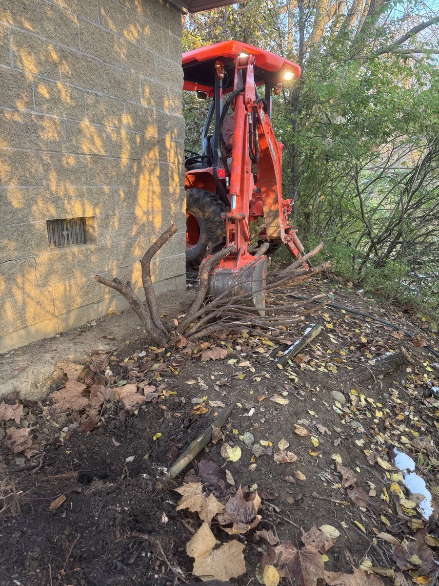 Plant material removal around pump house. Renovations start December 8.