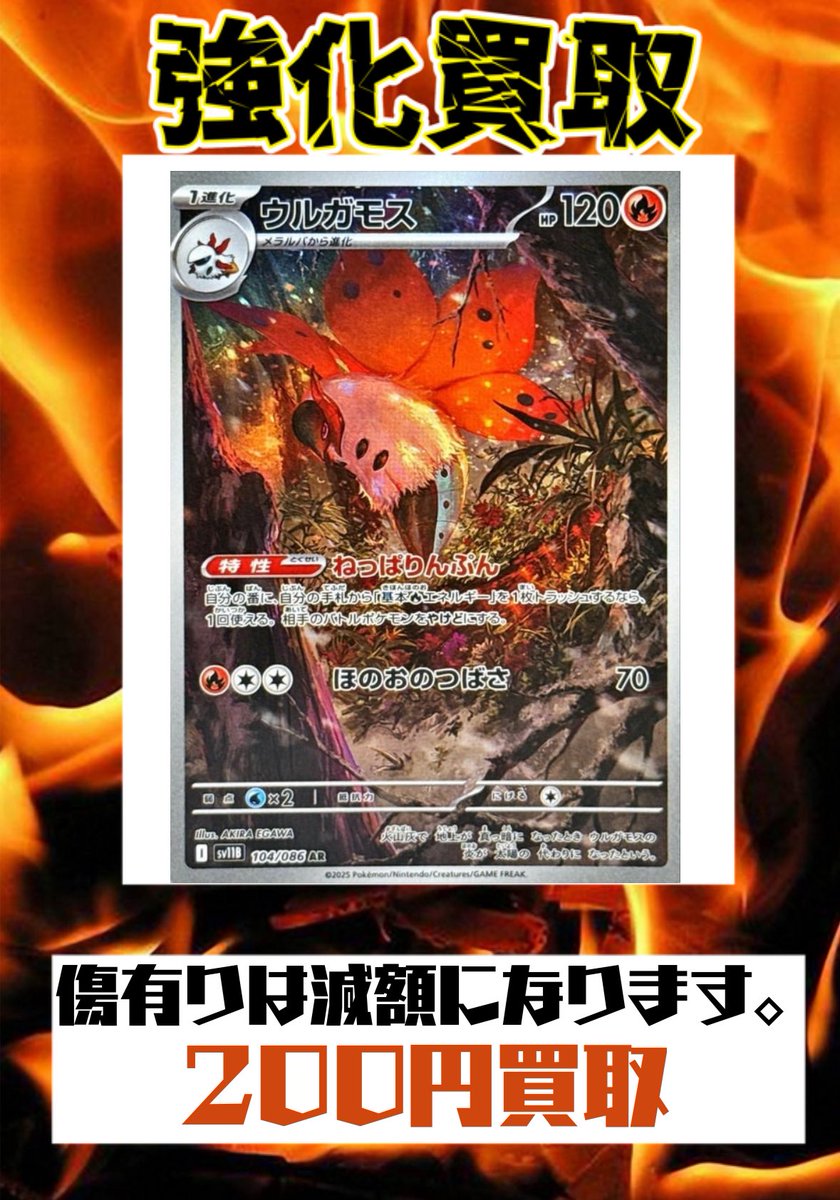 🐹闇金つるじまくん【S.O.L】 (@Black_market1_6) / Posts / X