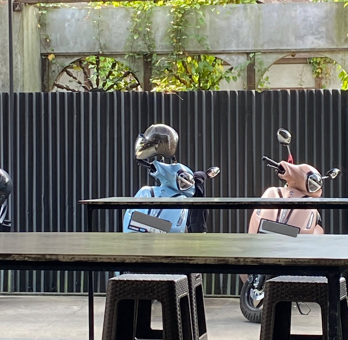 bearlouv's tweet image. motor gender reveal