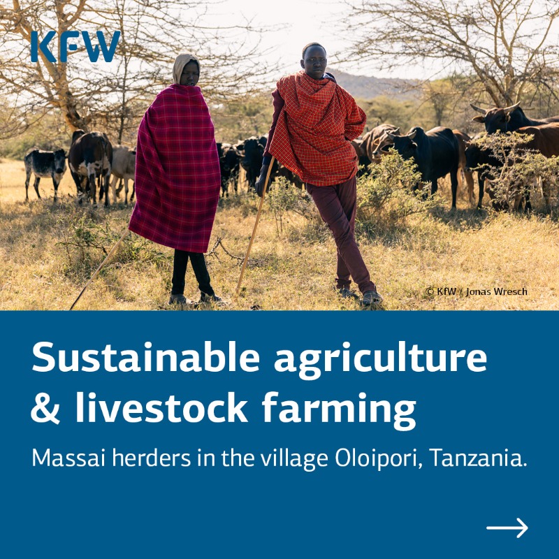 KfW's tweet photo. 🤝At #COP30, indigenous peoples' (IP&amp;LC) participation is key. 
@KfW_FZ_int funds 367 nature projects, 143 involving IP&amp;LC, promoting rights, inclusion, and sustainable development worldwide. 🌎
KfW @Cop30noBrasil 👉 https://t.co/WQUmEmZ6RG 
#KfWCOP30 #COP30