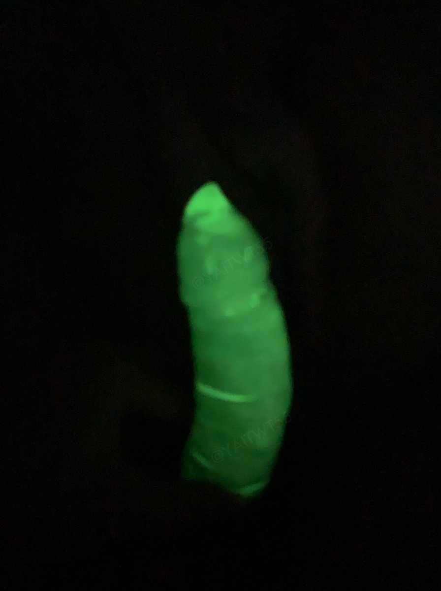 ໄບ ປິດລັບ Laos ® tweet media