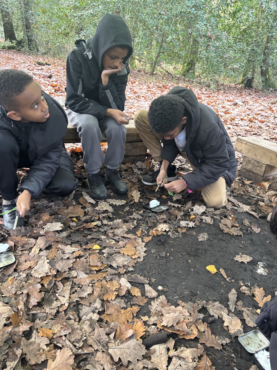 Vittoria Primary School (@vittoriaschool1) on Twitter photo 