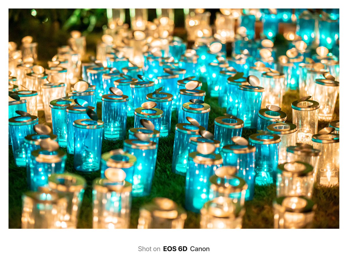 キャンドルナイト