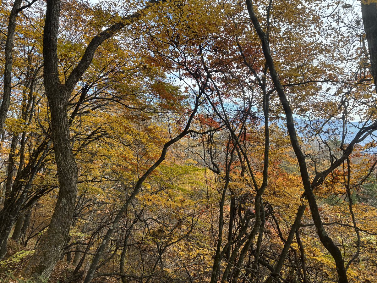 tuke06's tweet photo. 展望が良かった日向山。 https://t.co/DC2tNqFdyk
