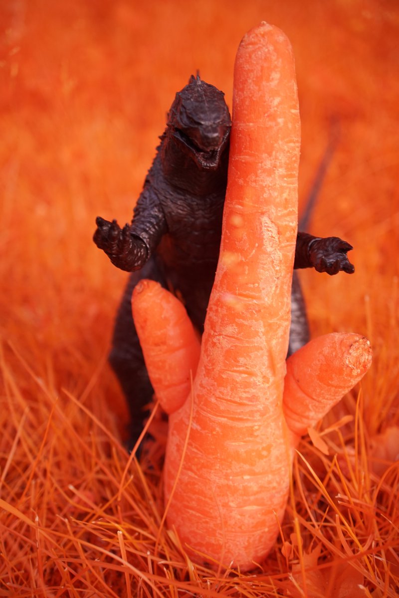 Michael Levin tweet media