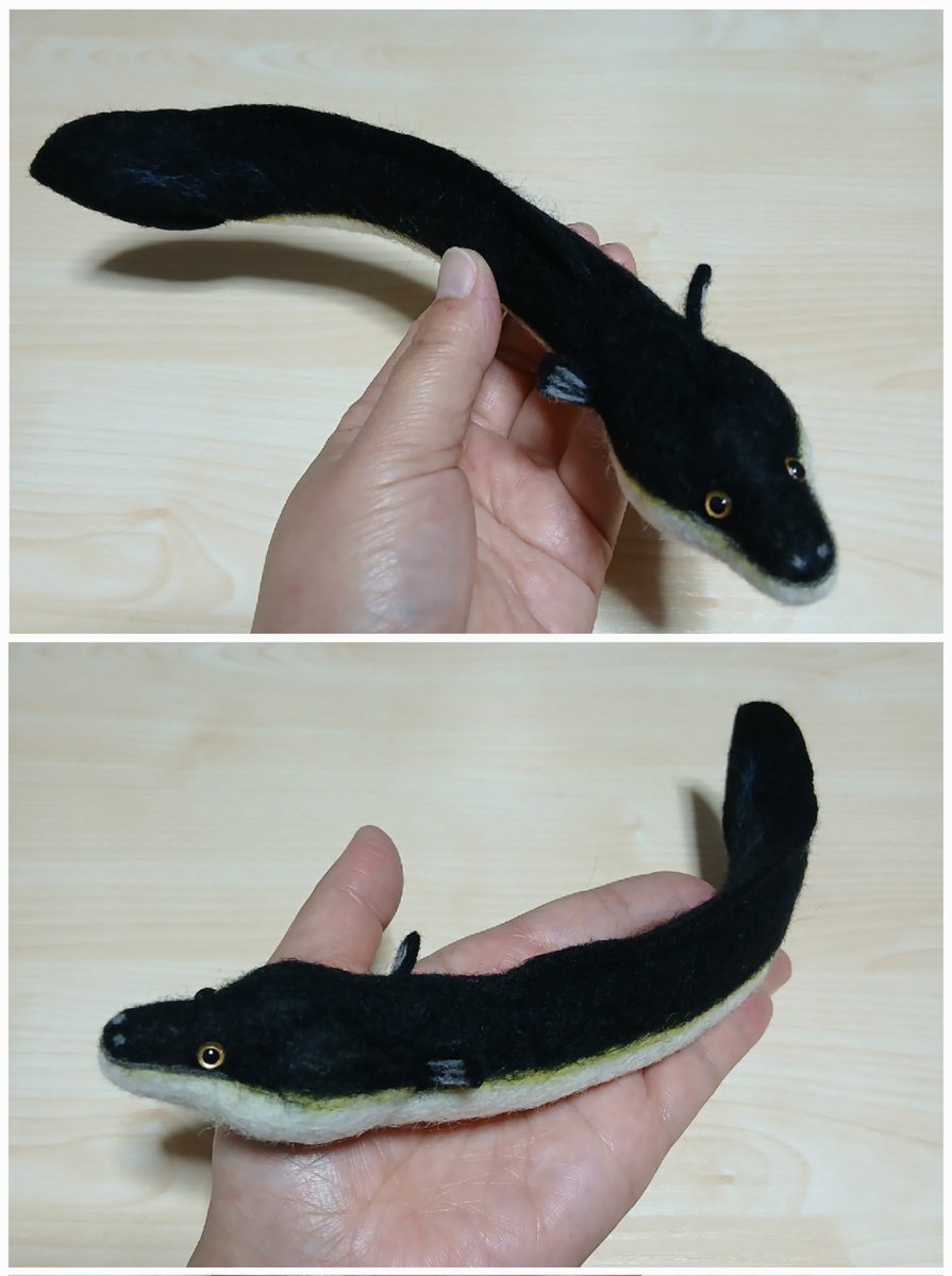 うなぎさま確認ページ♡ ウナギ