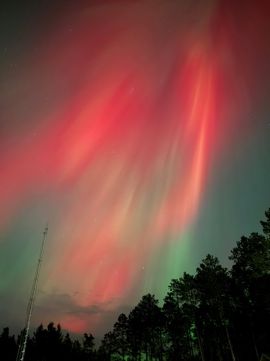 Eli Sagor tweet media