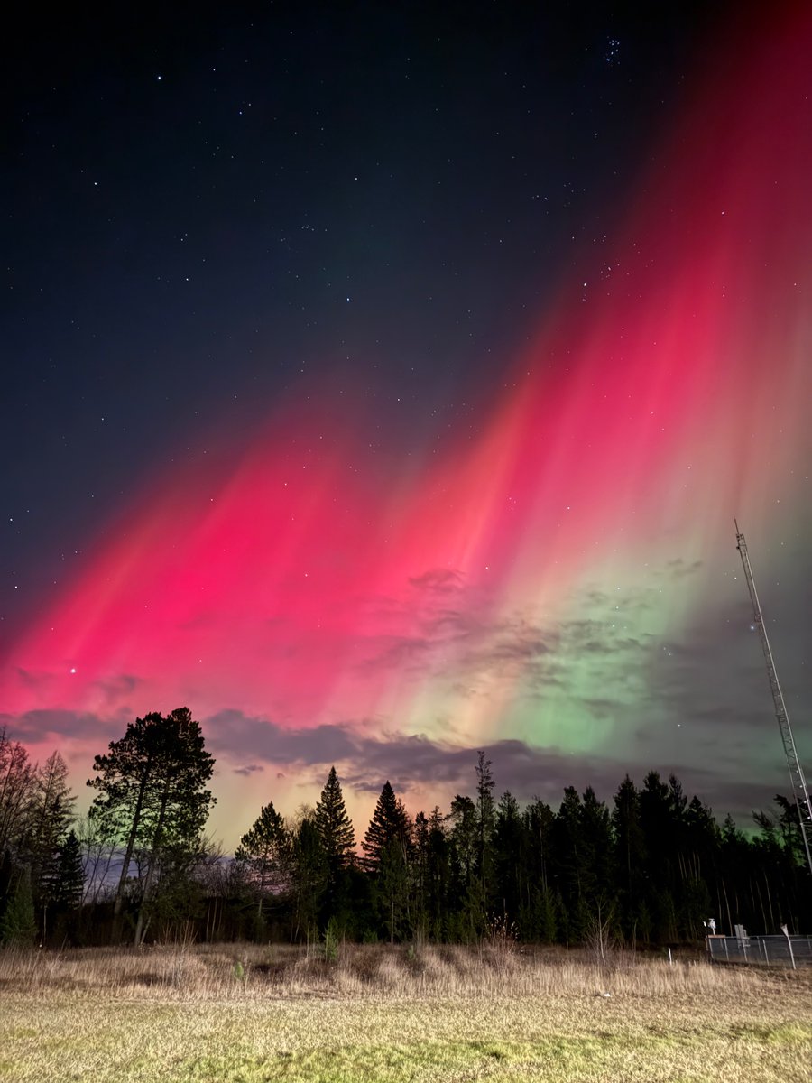 Eli Sagor tweet media