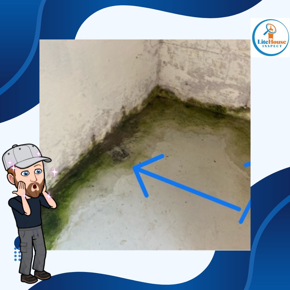 InspectLite's tweet photo. No, that is not your Kelp Smoothie on the basement floor.  If you have moisture coming in like this, you need to have your foundation and downspout drainage system evaluated. https://t.co/rEPRyzXw1i