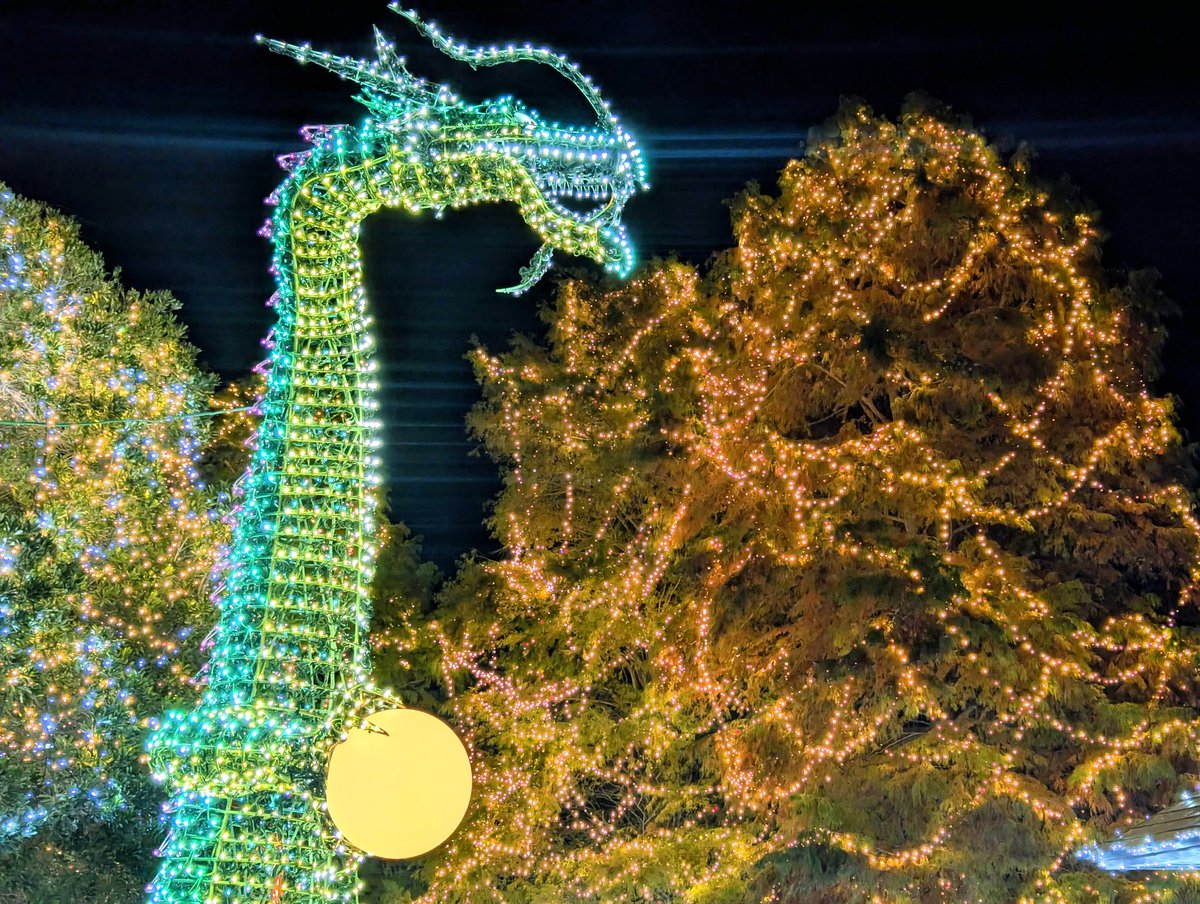 家近イルミ2025-龍を添えて-