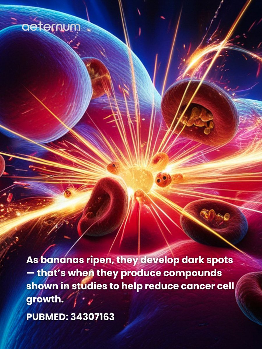 aeternumcompany's tweet image. 🍌 Don’t toss overripe bananas! Dark spots mean bioactive compounds that may support health &amp;amp; reduce cancer risk. 💡 Use in smoothies or baking. Follow us &amp;amp; visit our site! #HealthyEating #BiohackingHealth