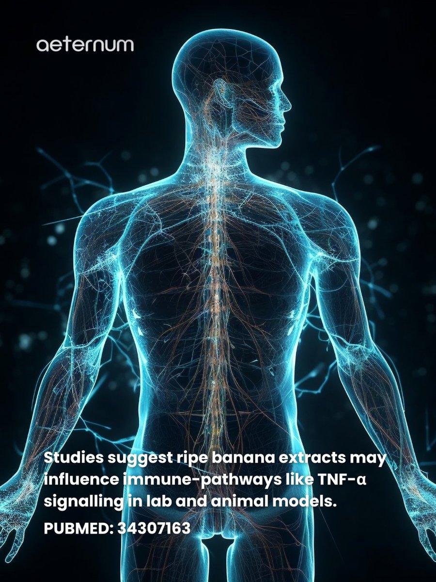 aeternumcompany's tweet image. 🍌 Don’t toss overripe bananas! Dark spots mean bioactive compounds that may support health &amp;amp; reduce cancer risk. 💡 Use in smoothies or baking. Follow us &amp;amp; visit our site! #HealthyEating #BiohackingHealth
