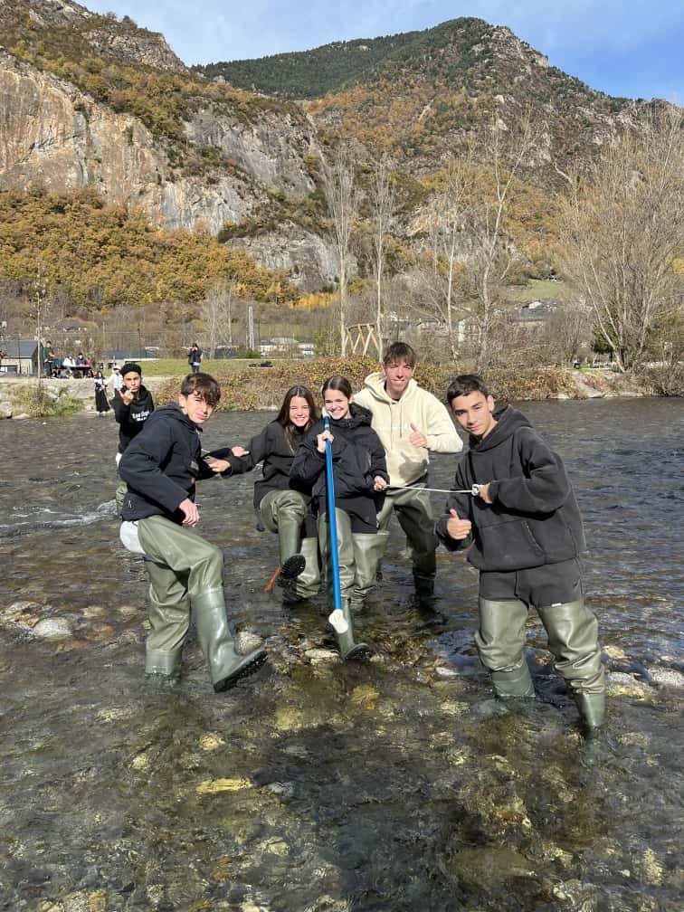 Institut Pere Ribot tweet media