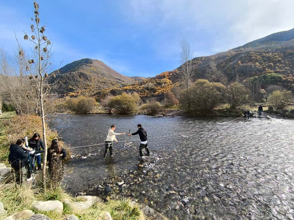 Institut Pere Ribot tweet media