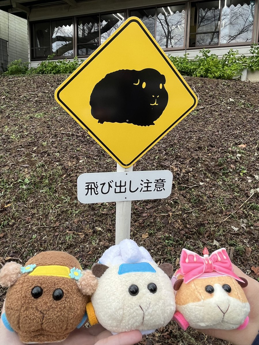 小春/テツコ tweet media