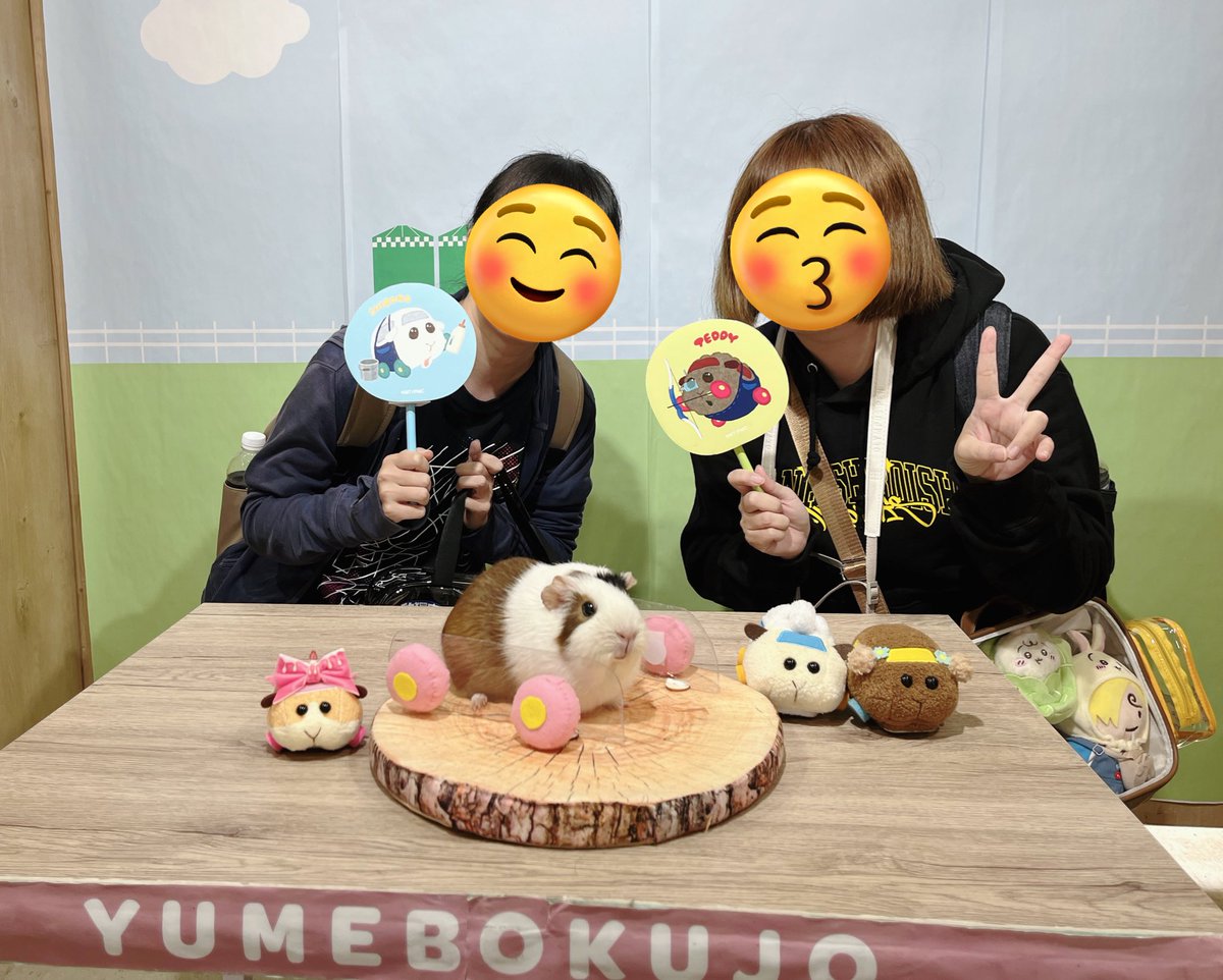 小春/テツコ tweet media