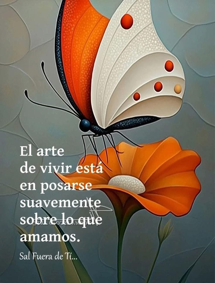 LilaPrzq's tweet photo. Hola
     Hola 
Buenos Días 
#MiMundoX
Con Friito  pero con el  Alma Cálida ..cubierta de toda la energía y la Buena Vibra ....
#ApapachosConElAlma ...
     Aquí vamos con la Bendición de Dios...
   Lo demás viene por Añadidura .
Hay que Soltar y dejar Fluir.
#Besukis
Cafecito https://t.co/mQvgKT0G9n