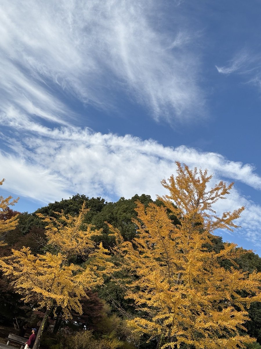 旅するや紅葉の奥の物語（空移）
