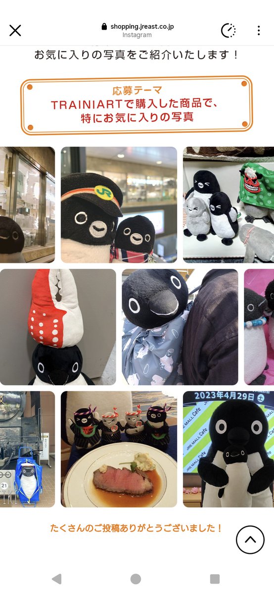 とりなり (@suicapenginm) / Posts / X