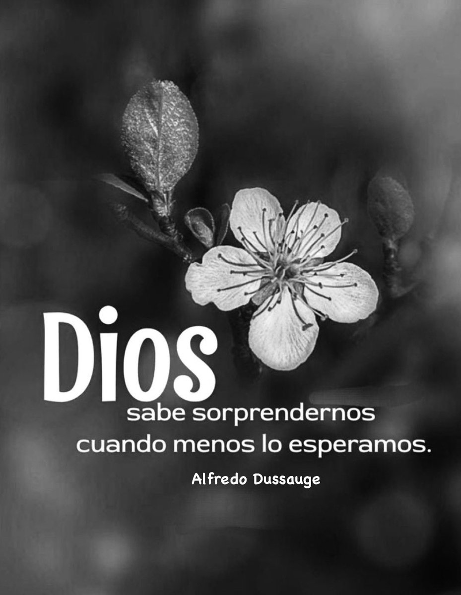 AlfredoDussauge's tweet image. “Dios sabe sorprendernos cuando menos lo esperamos.”
#TeQuiero #Dios #FelizMiércoles
