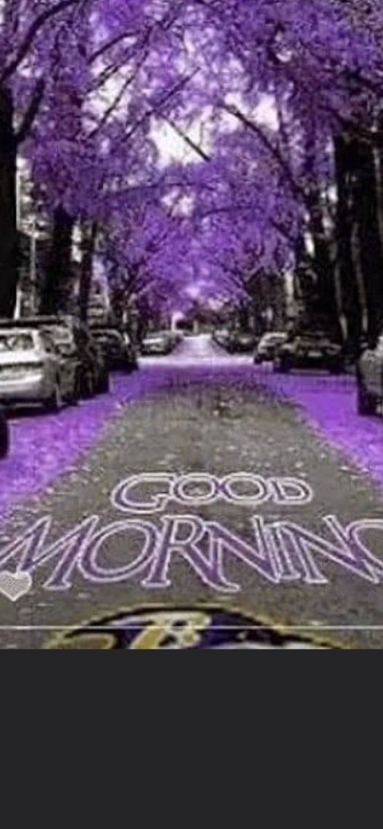 heatherbell777's tweet photo. MORN’N luv MUFF’NS! https://t.co/gzh9UI64HK