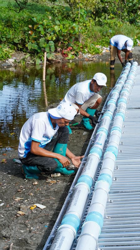 Ocean World Puerto Plata tweet media