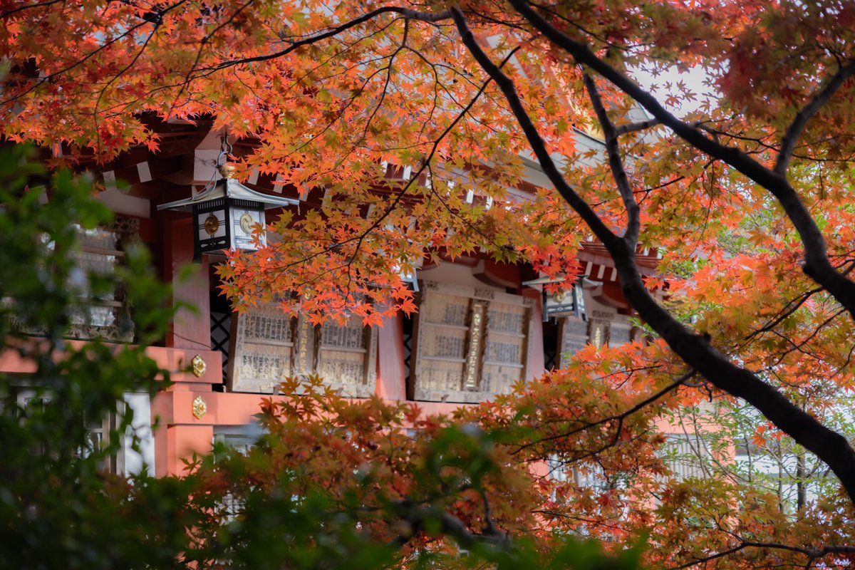 ☆かなう☆ (@8322yuki0107) / Posts / X