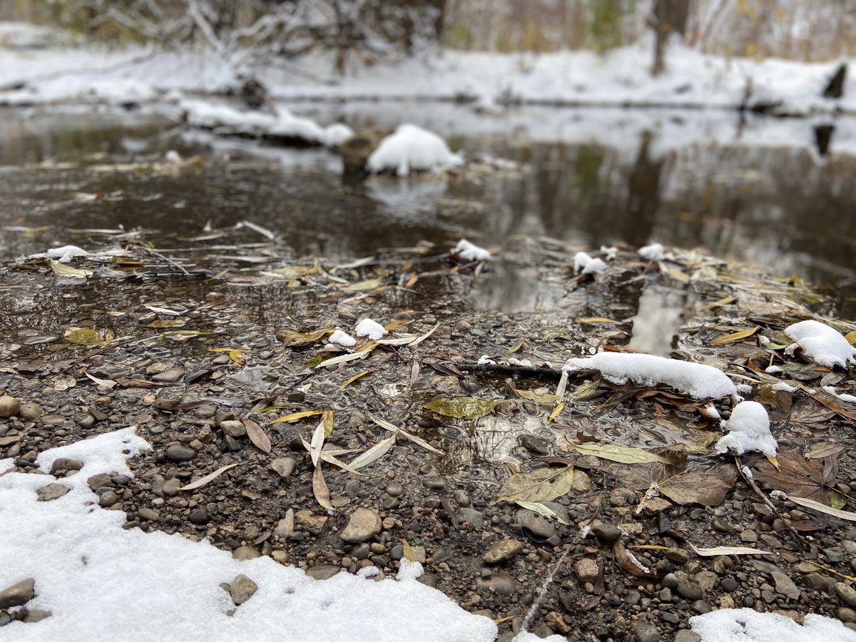 Good morning, happy Wednesday 😊