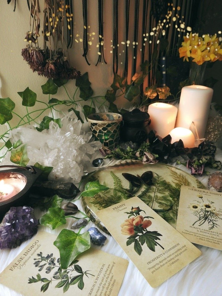 witchoraclees's tweet image. comente uma área para a qual gostaria de receber um conselho e receba uma cartinha do oráculo “acredite na sua magia” 🌷

REGRAS: 
- me seguir 
- dar rt
-comentar a área 

vou responder amanhã!