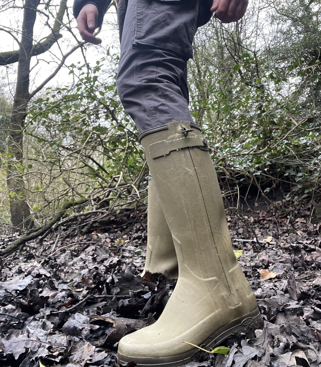 Wednesdays we walk