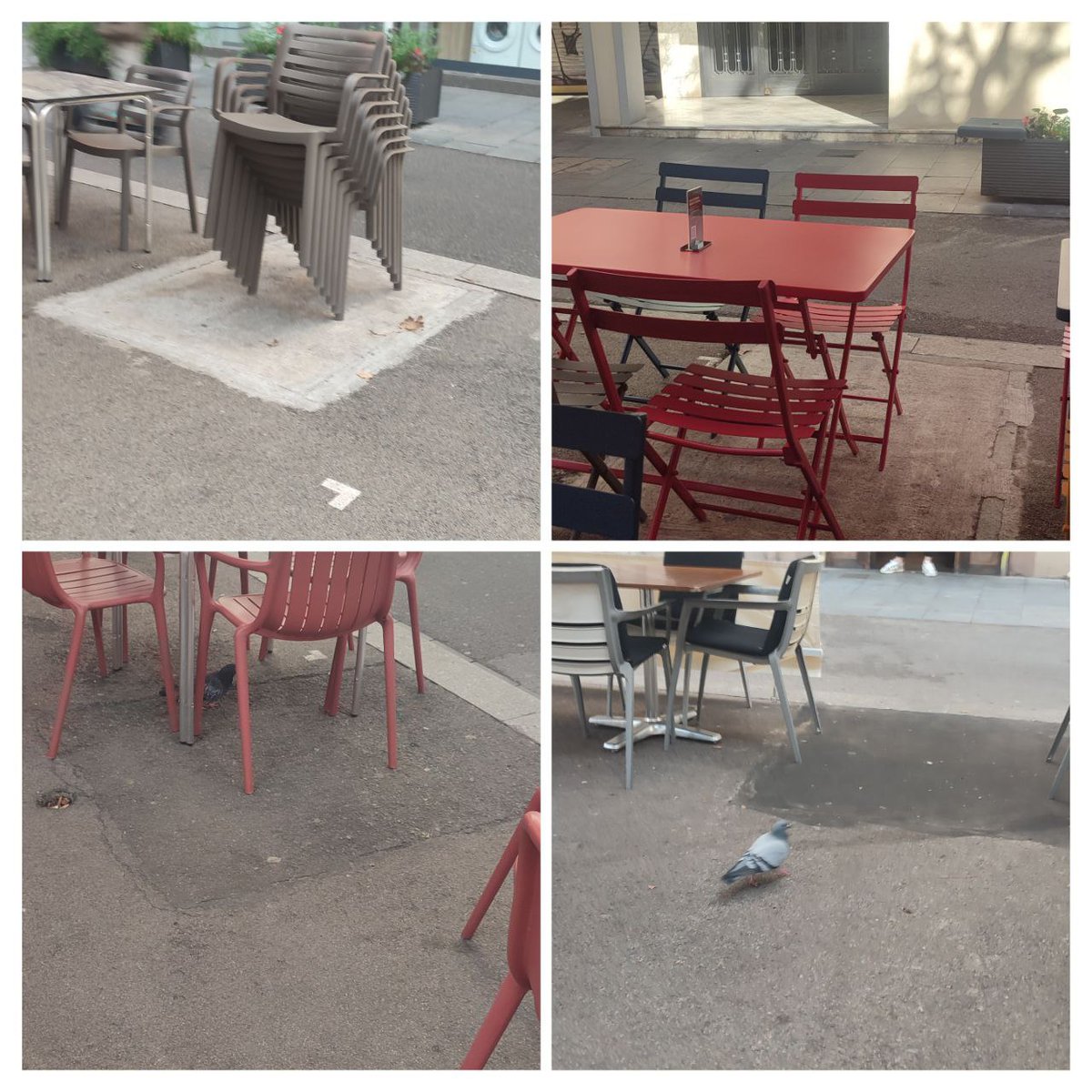 Quin verd és prioritari a la Rambla del Poblenou?
Aquest?🌳🌳
o aquest? 💵💵