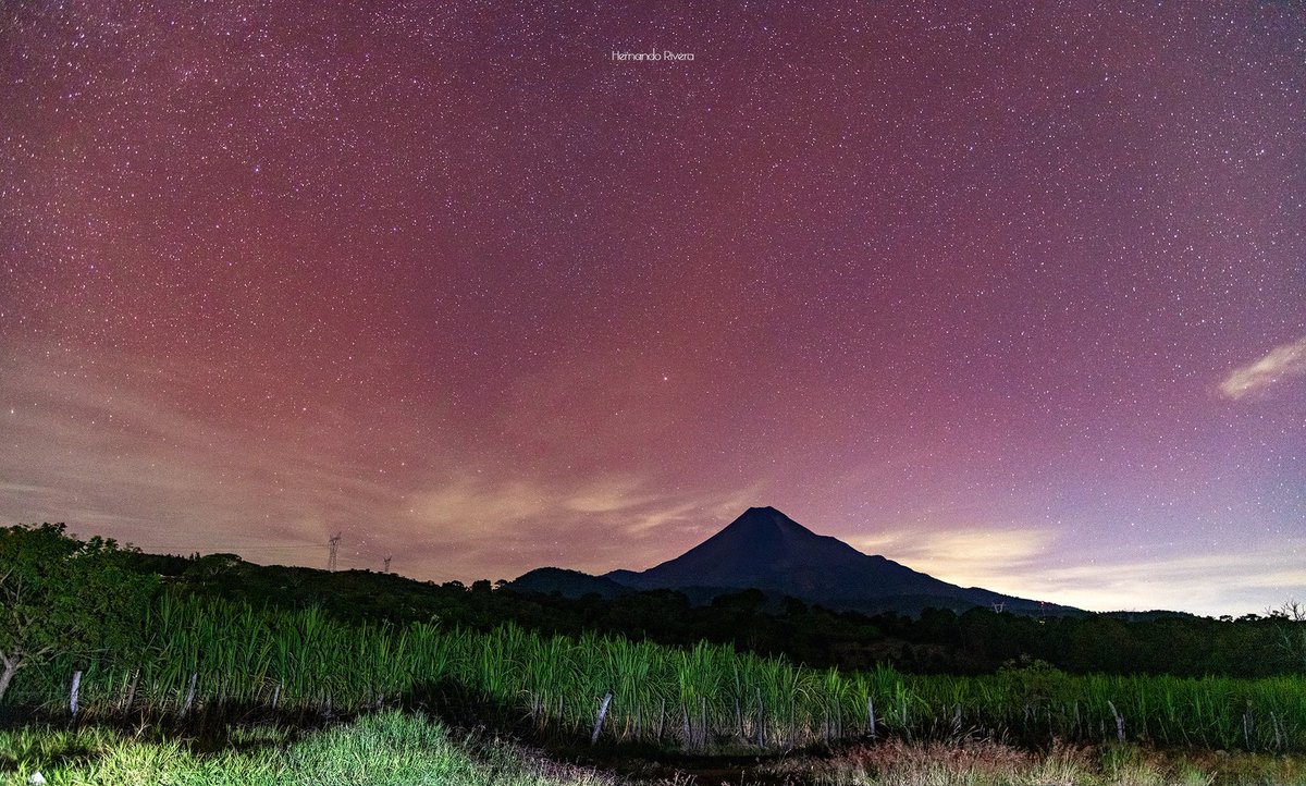 Vivo Noticias Colima tweet media