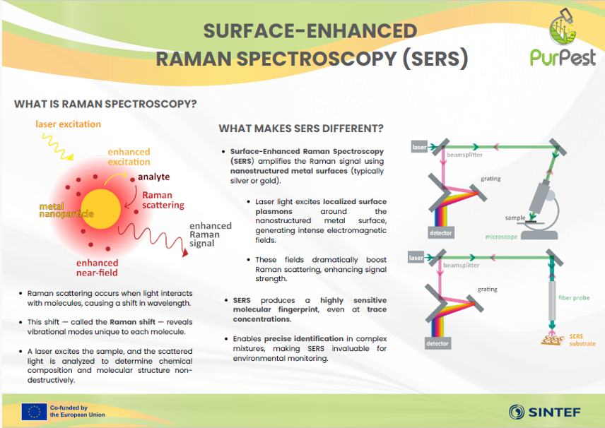 🔬 New educational material available! 🌿

📘 Learn how Surface-Enhanced Raman Spectroscopy is transforming precision agriculture &amp; supporting <a href="/PurPest_EU/">PurPest</a>'s mission to develop innovative, real-time field diagnostic tools.

👉 Download full material here: purpest.eu/reports-public…