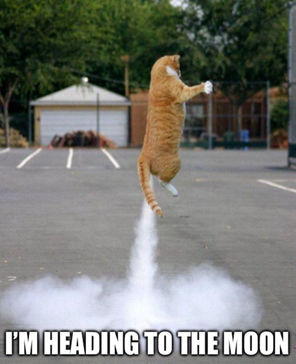 BbyKiruaa's tweet photo. 🐾 $MEWC More Than a Coin, a Mission to Help Animals Worldwide! 🐾 @MeowcoinProject 

Many crypto projects claim to have strong communities but few truly create real-world impact.
$MEWC (Meowcoin) stands out because it combines blockchain innovation with compassion.

💛 Our Purpose:
We’re not just a meme coin we’re a movement for animal welfare. Every donation and transaction helps support animal shelters, rescue organizations, and associations dedicated to caring for animals in need.

🐕🐈 Beyond the Logo:
Yes, our mascot is a cat 🐱  but our mission supports all animals. From dogs and cats to wildlife and farm animals, Meowcoin stands for kindness, transparency, and real utility.

💪 Why People Trust $MEWC:
•The team is fully doxxed, building trust through transparency.
•We’ve donated directly to multiple shelters and charities.
•Our community is strong, early, and loyal many holders from the start still believe and hold today.
•We value facts, hard work, and compassion over hype.

🌍 Imagine the impact when large NGOs and institutions notice what we’re doing.
With every donation, every holder, and every act of kindness, we’re building something bigger than just a project we’re creating a future where crypto truly helps the world.

🚀 Join the movement. Support the mission. Help us make a difference.
👉 Follow: https://t.co/EQg7ifLW3g
      Discord: https://t.co/InLAZWLkXE
👉 Learn more about our impact: https://t.co/RTQmiWV06m

#Meowcoin #MEWC #CryptoForGood #AnimalRescue #BlockchainForChange #CryptoCommunity #CharityCoin #AdoptDontShop