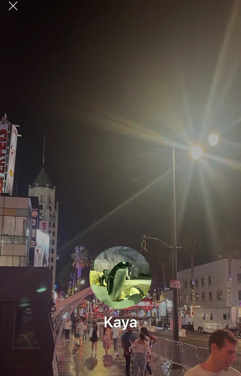 chowchow77771's tweet image. 拡散　10000

たくさん拡散していただいた方には謝礼として10000お渡しします🙇‍♂️
担当の子👩が詐欺に遭ってしまったのでご協力お願いします😢

担当の子が
ファンティアのやるためにXのアカウント運営をお願いしたのですが、
①アカウント代　185,000円
②コンサル料　　80,000円…