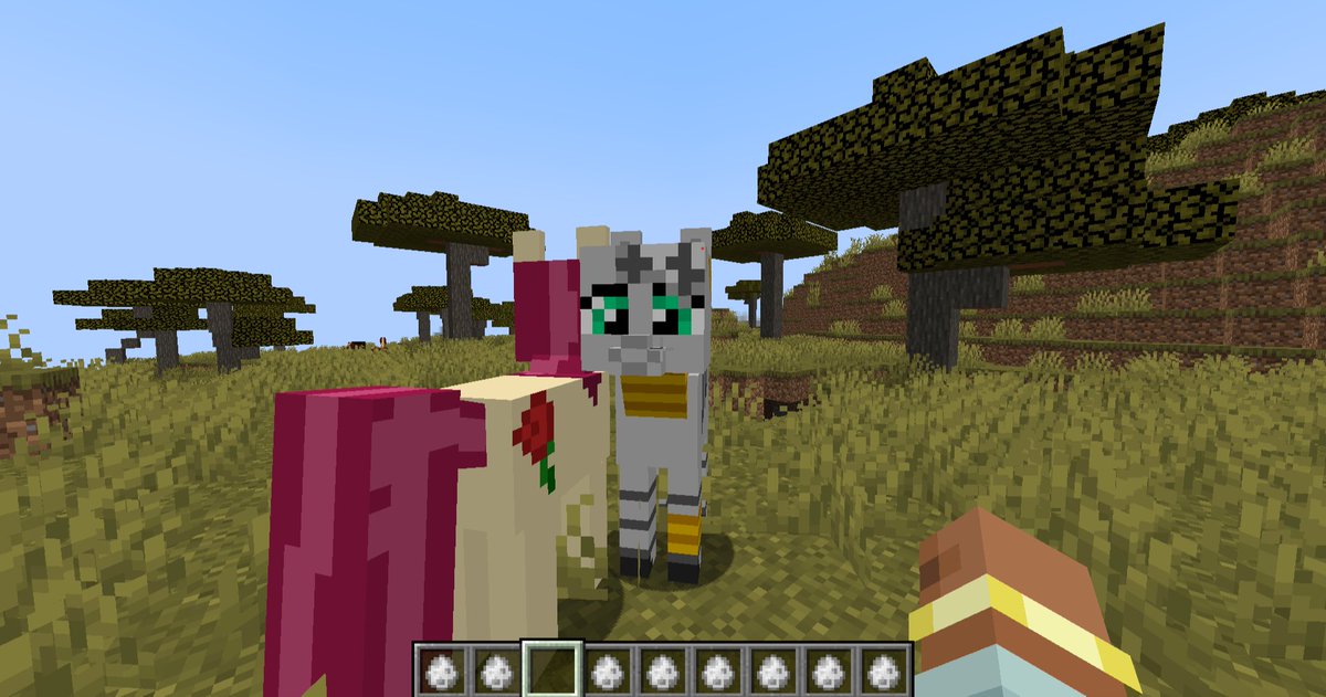 Ninga_109's tweet photo. Ponypals 109 is now available for forge 1.12.2 and 1.20.1 The ponies prance and squee, they fill you with glee, please download and have lots of fun with your pony pet today!! https://t.co/m6eliotAzQ