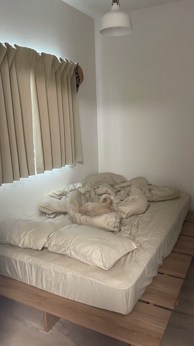 ぽんた (@p_190224) / Posts / X