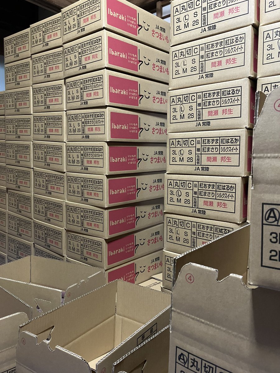 KunioMase's tweet photo. 今日はサツマイモのJA出荷箱詰めパートの仕事納めでした。
80歳超えの方々が、歩合制の労働体系で、1日1万円以上稼いでいる。

1万円貰えると嬉しいようで喜んで帰っていく。
#農業 やってて良かったと思う瞬間だ。

農業は地方の重要産業であり、高齢者にも従事でき、高齢者の生き甲斐にもなりうる。 https://t.co/g31N8YfFna