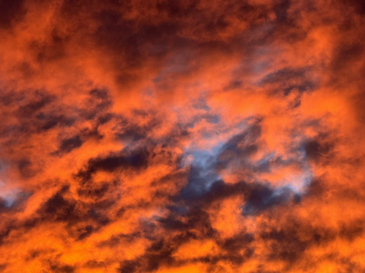 Last night/this morning