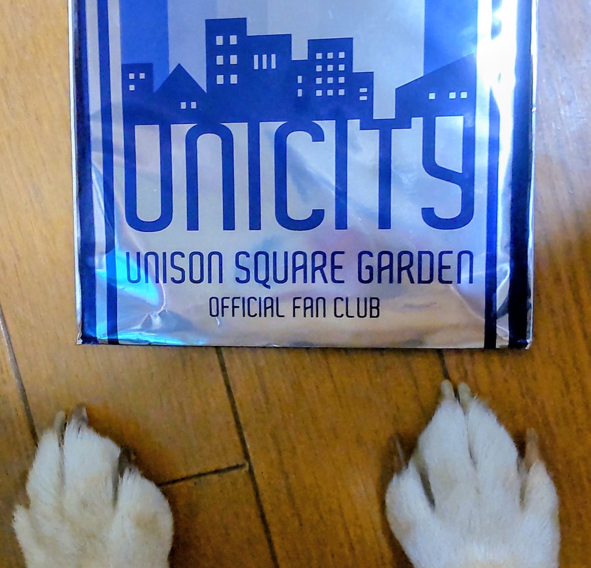 そらいページ 31ショウ on X