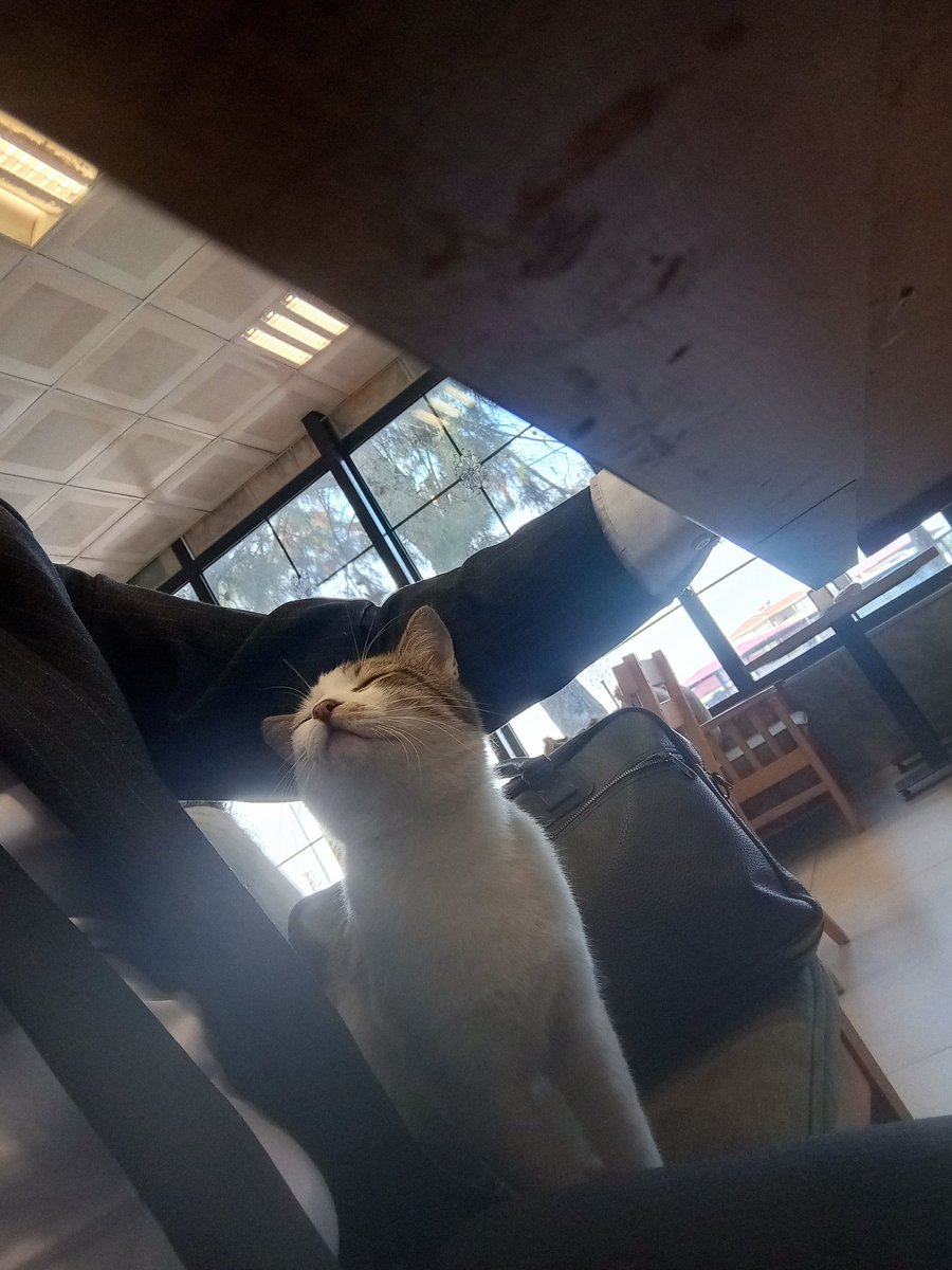 Her canlı sevgiye açtır. 😍