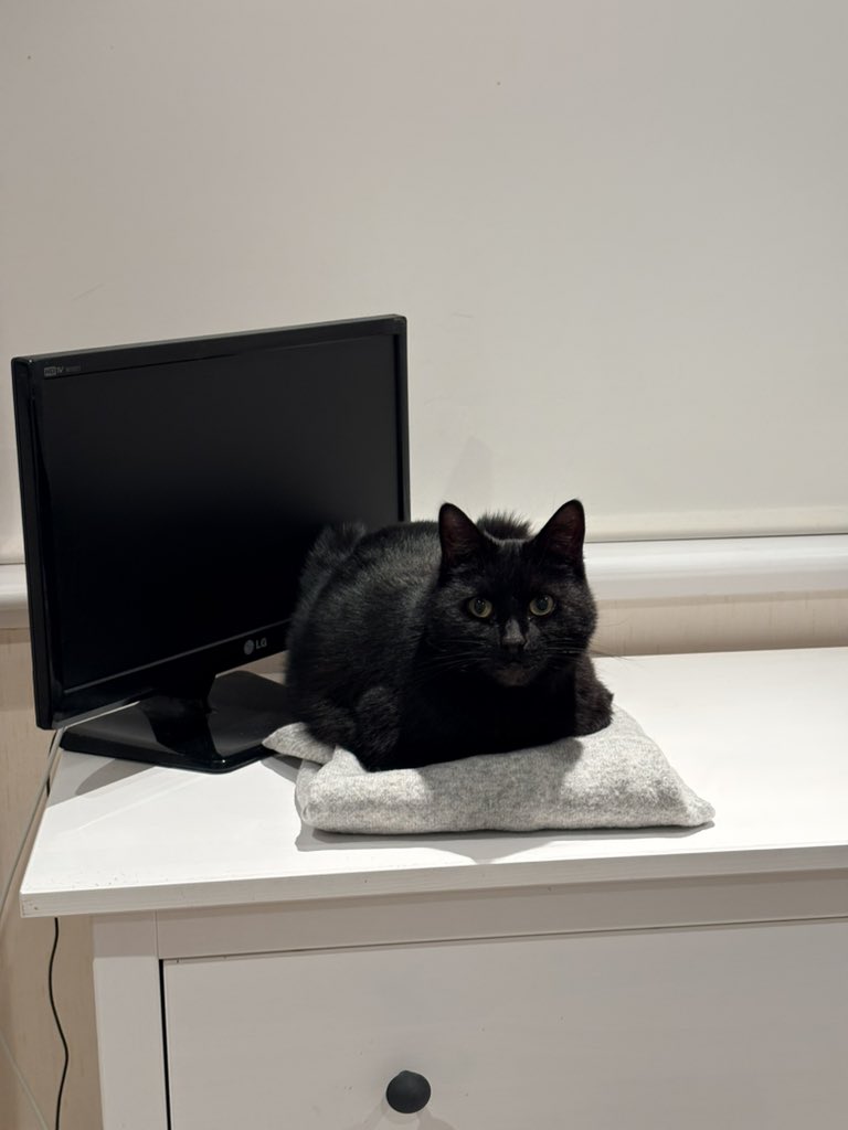 No my new jumper is not your new bed little man! 🙄😂😂